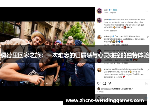 佩德里回家之旅：一次难忘的归属感与心灵碰撞的独特体验