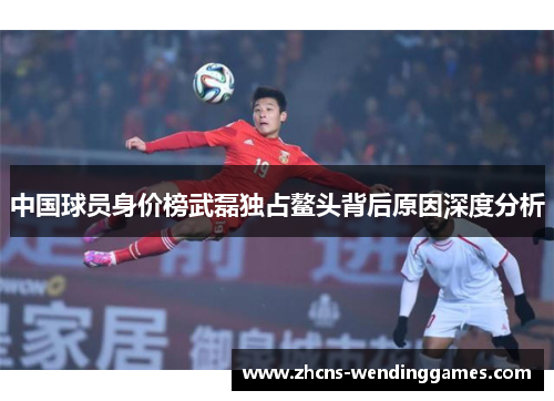 中国球员身价榜武磊独占鳌头背后原因深度分析