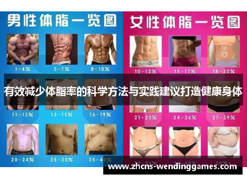 有效减少体脂率的科学方法与实践建议打造健康身体