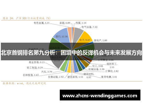 北京首钢排名第九分析：困境中的反弹机会与未来发展方向