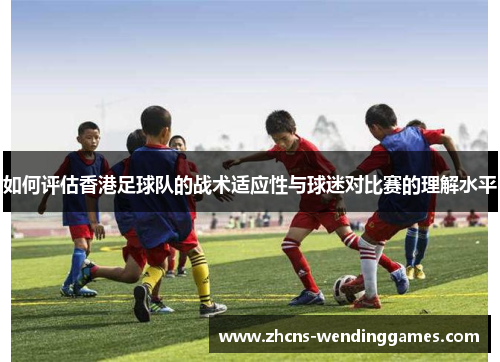 如何评估香港足球队的战术适应性与球迷对比赛的理解水平