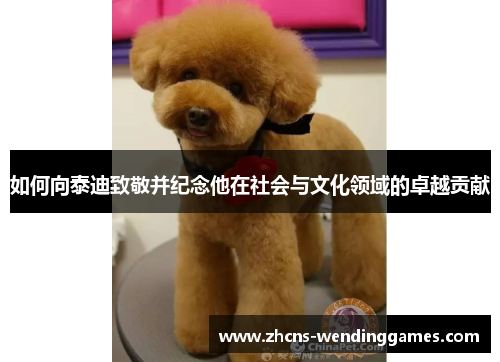 如何向泰迪致敬并纪念他在社会与文化领域的卓越贡献