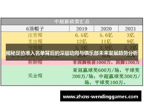 揭秘足协准入名单背后的深层动向与俱乐部未来发展趋势分析