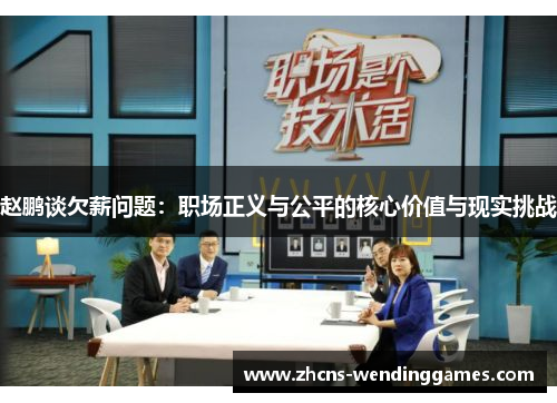 赵鹏谈欠薪问题：职场正义与公平的核心价值与现实挑战