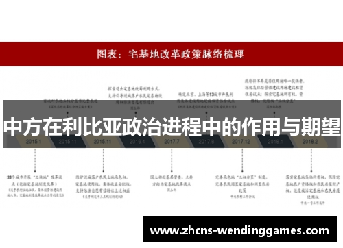 中方在利比亚政治进程中的作用与期望