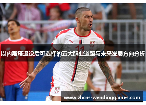 以内斯塔退役后可选择的五大职业道路与未来发展方向分析