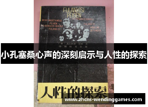 小孔塞桑心声的深刻启示与人性的探索