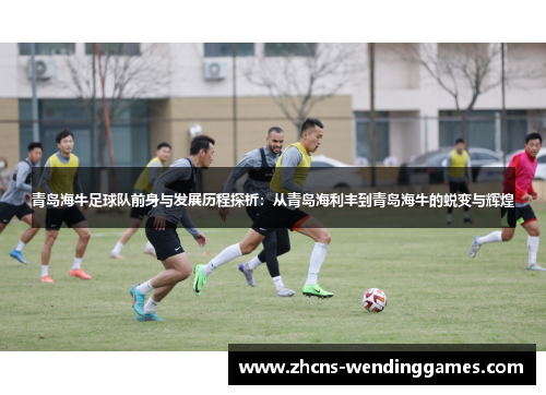 青岛海牛足球队前身与发展历程探析：从青岛海利丰到青岛海牛的蜕变与辉煌