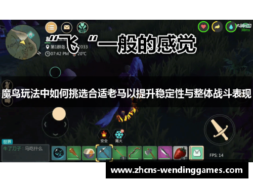 魔鸟玩法中如何挑选合适老马以提升稳定性与整体战斗表现