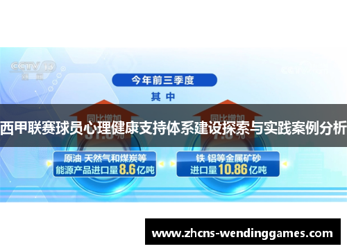 西甲联赛球员心理健康支持体系建设探索与实践案例分析