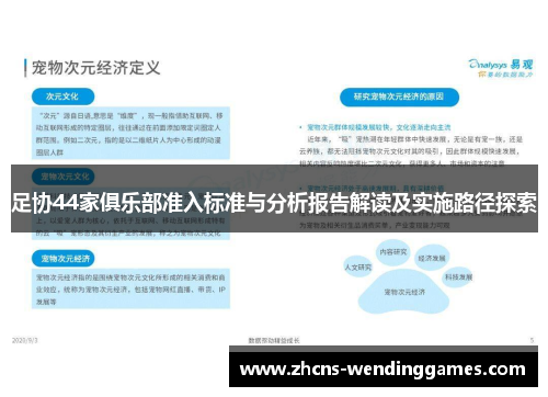 足协44家俱乐部准入标准与分析报告解读及实施路径探索