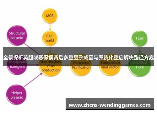 全景探析英超联赛停摆背后多重复杂成因与系统化重启解决路径方案