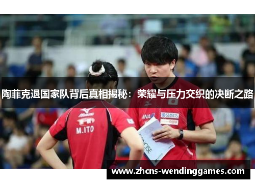 陶菲克退国家队背后真相揭秘：荣耀与压力交织的决断之路